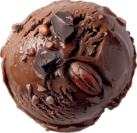 Swiss Chocolate scoop